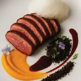 Aqua Terra – “Symphony of Contrasts”